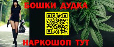 МДПВ Будённовск