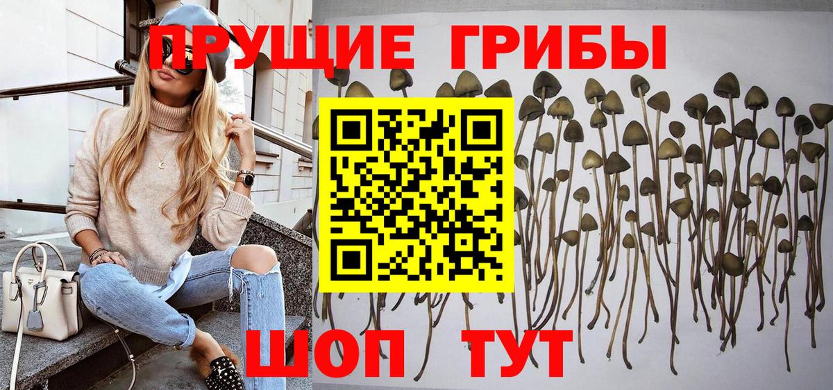 Галлюциногенные грибы MAGIC MUSHROOMS  Вход с VPN  Острогожск 